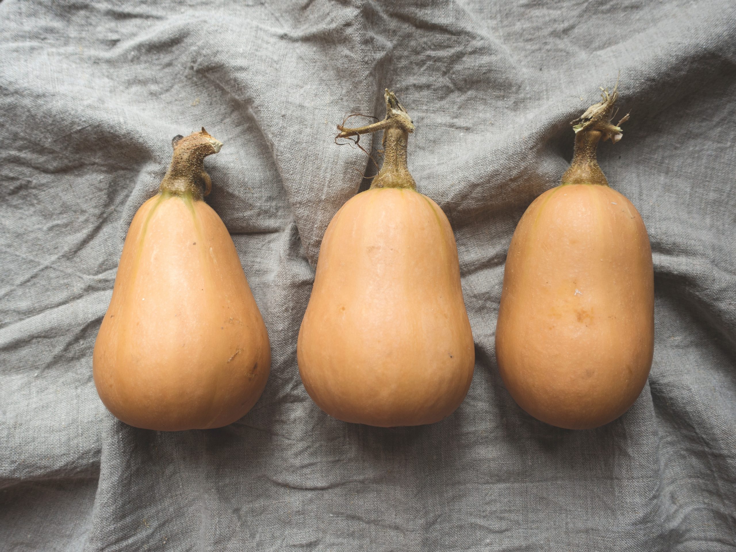 Butternut - Image 4