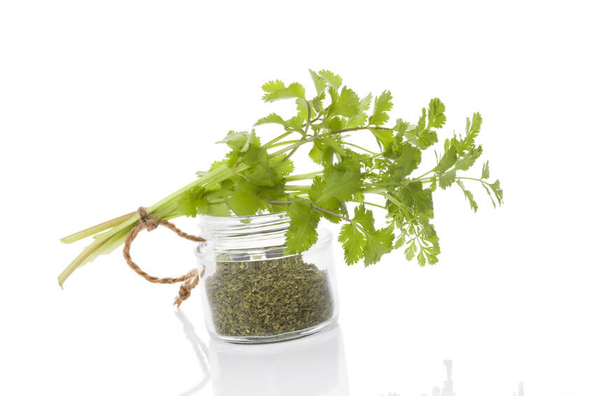 selina_wamucii_kenya_fresh_coriander.jpg