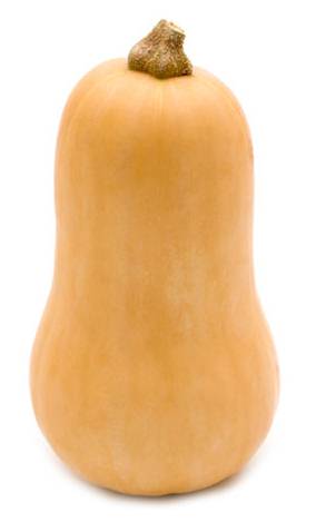 Butternut