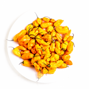 Habanero Yellow Pepper